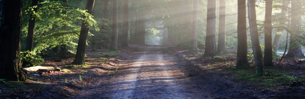 Nordic Walking cesta